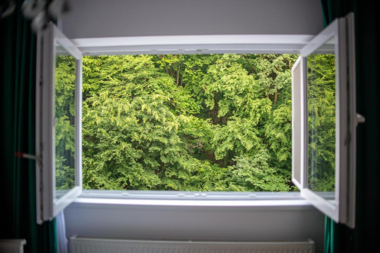 Forest Therapy Suite - Sub Padure Grand Comfort Брашов Екстер'єр фото