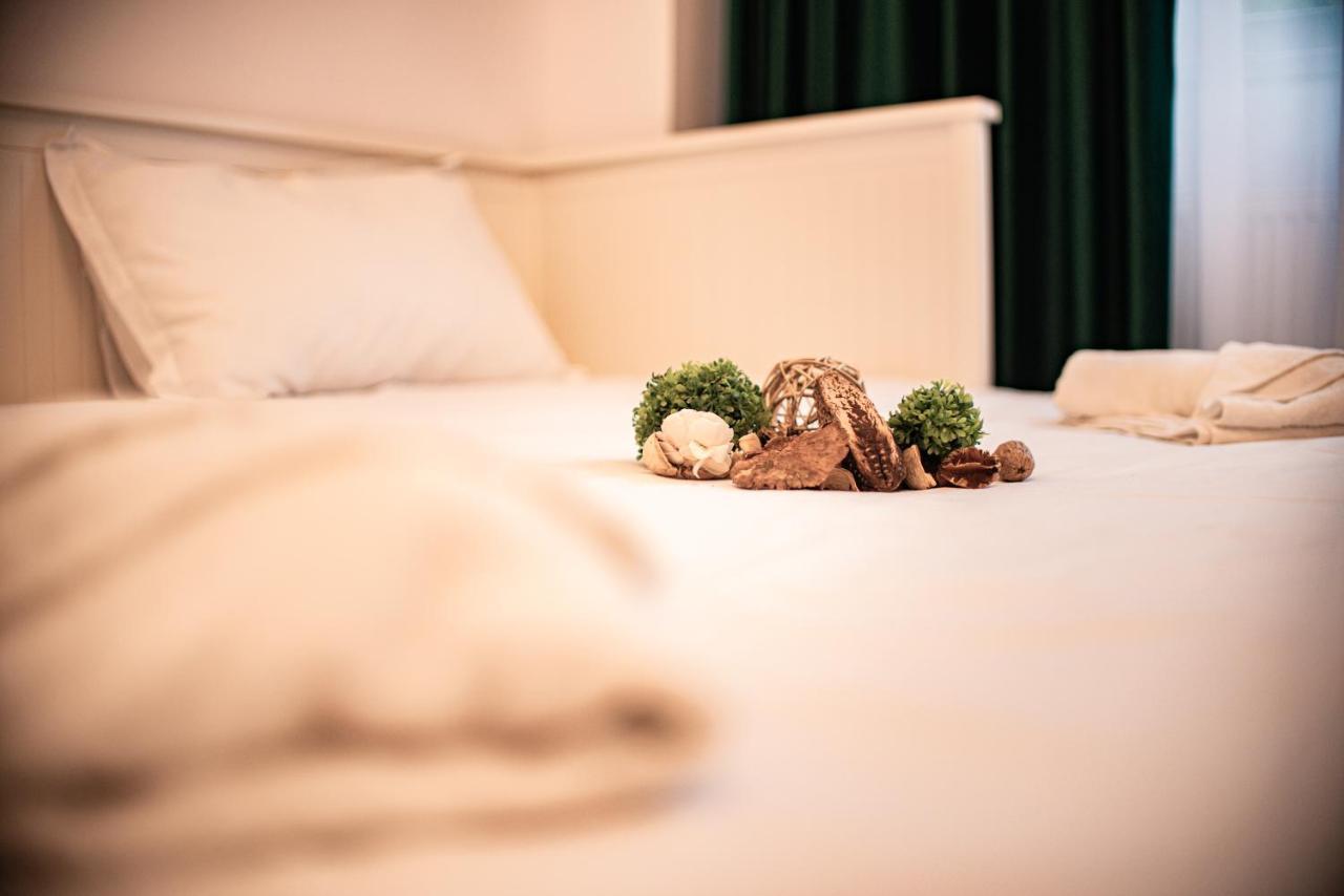 Forest Therapy Suite - Sub Padure Grand Comfort Брашов Екстер'єр фото